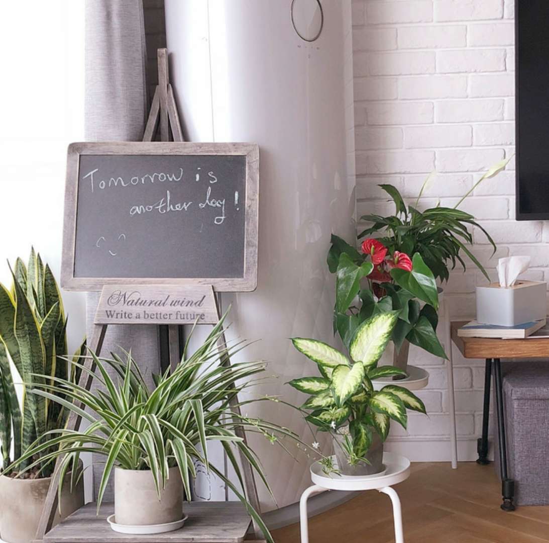 旅行爱好者装修房间,旅行博主改造农村小院