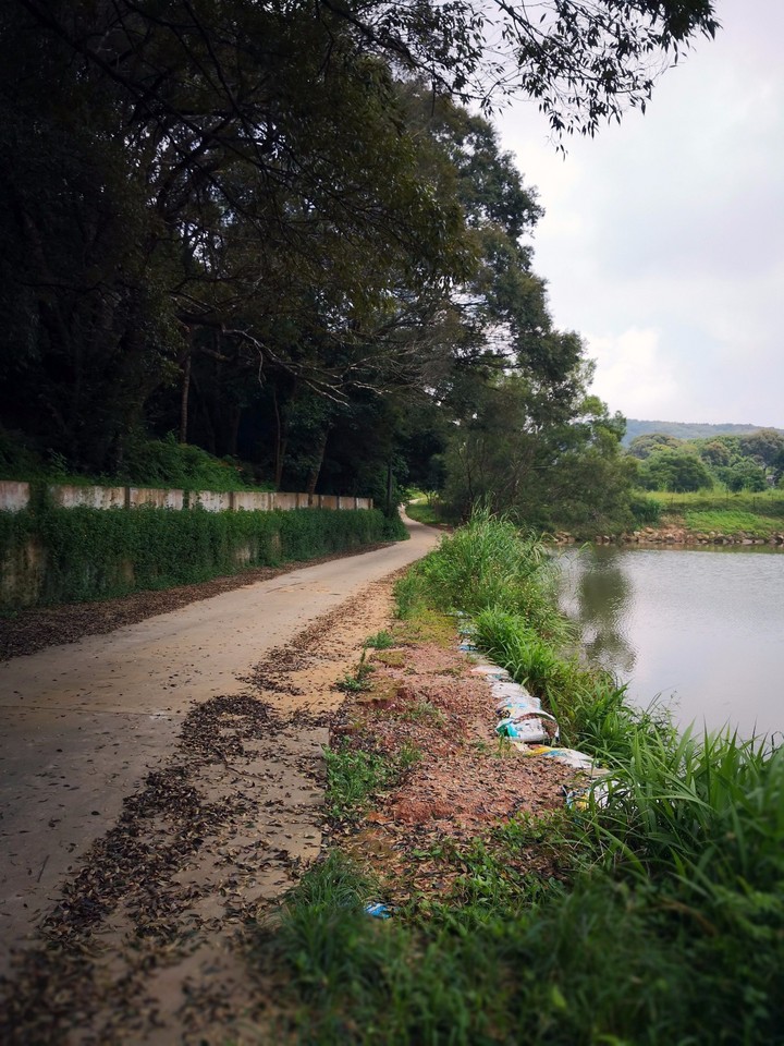 重新认识比亚迪唐,普通人眼中的比亚迪唐