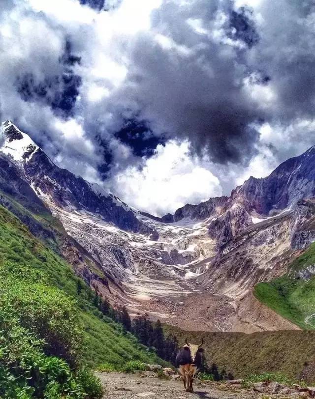 藏西的风景,藏西有哪些景点