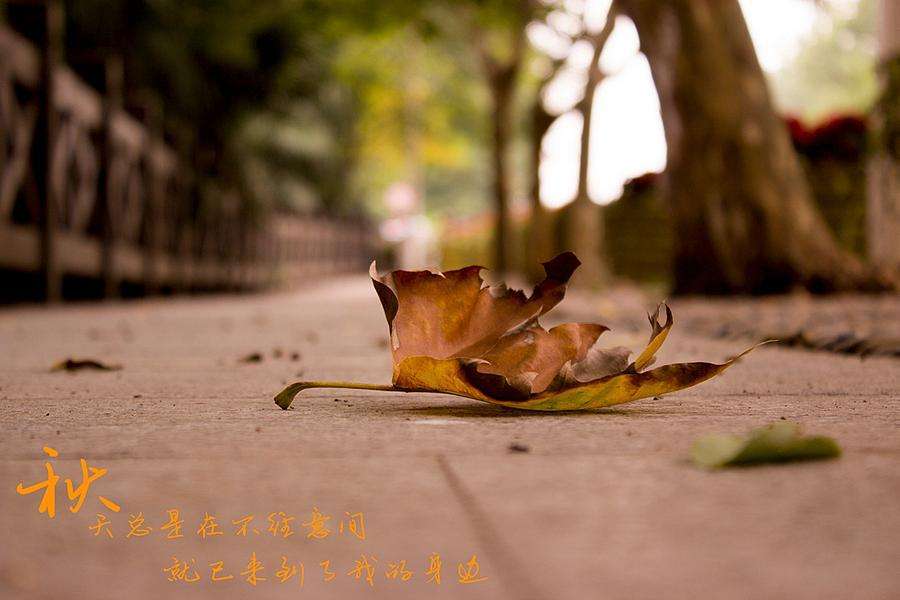 抖腿的行为心理学解释,心理学一个人经常抖腿说明了什么