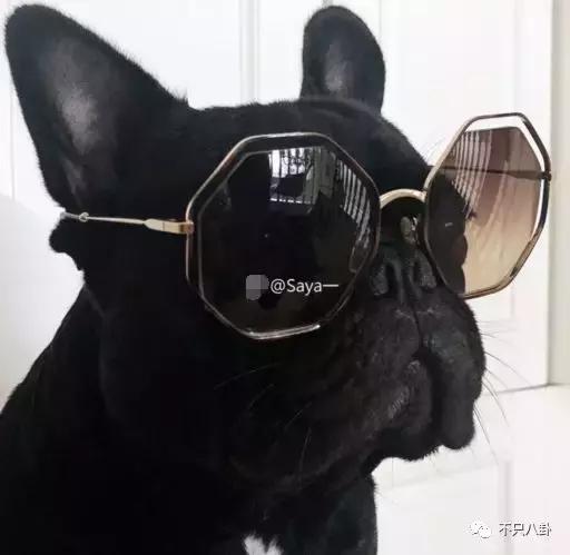 放狗咬人、脏话还打孕妇？以甜美著称且百万粉丝的她竟有两张面孔