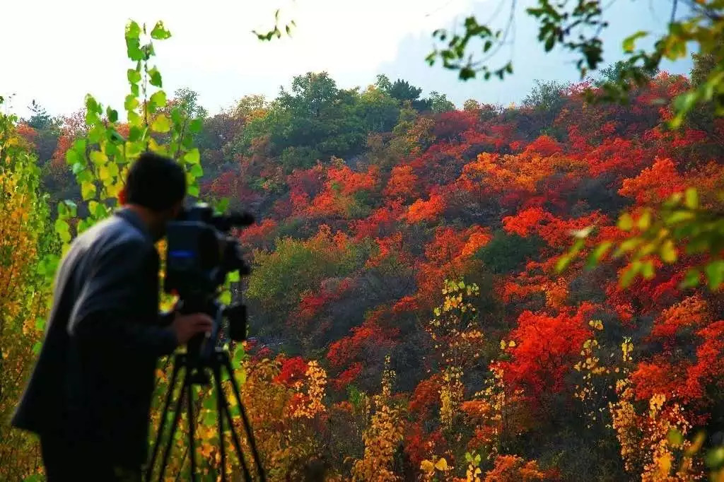 青龙峡旅游专线怎么买票,青龙峡旅游专线预订电话
