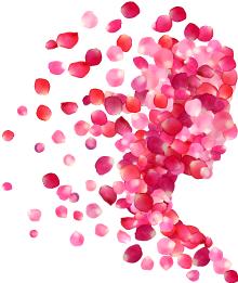 王小云中医调养盆腔炎,妇科名医王小云