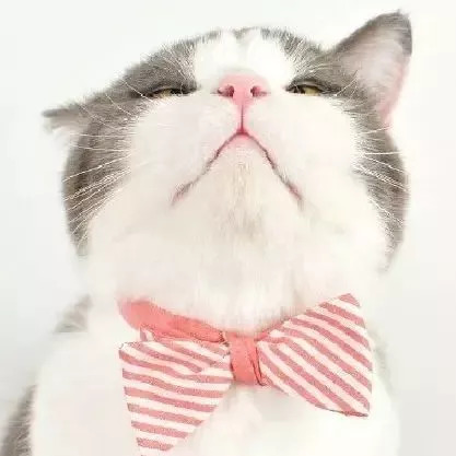 头孢皮试到底要不要做,头孢皮试注意事项有哪些