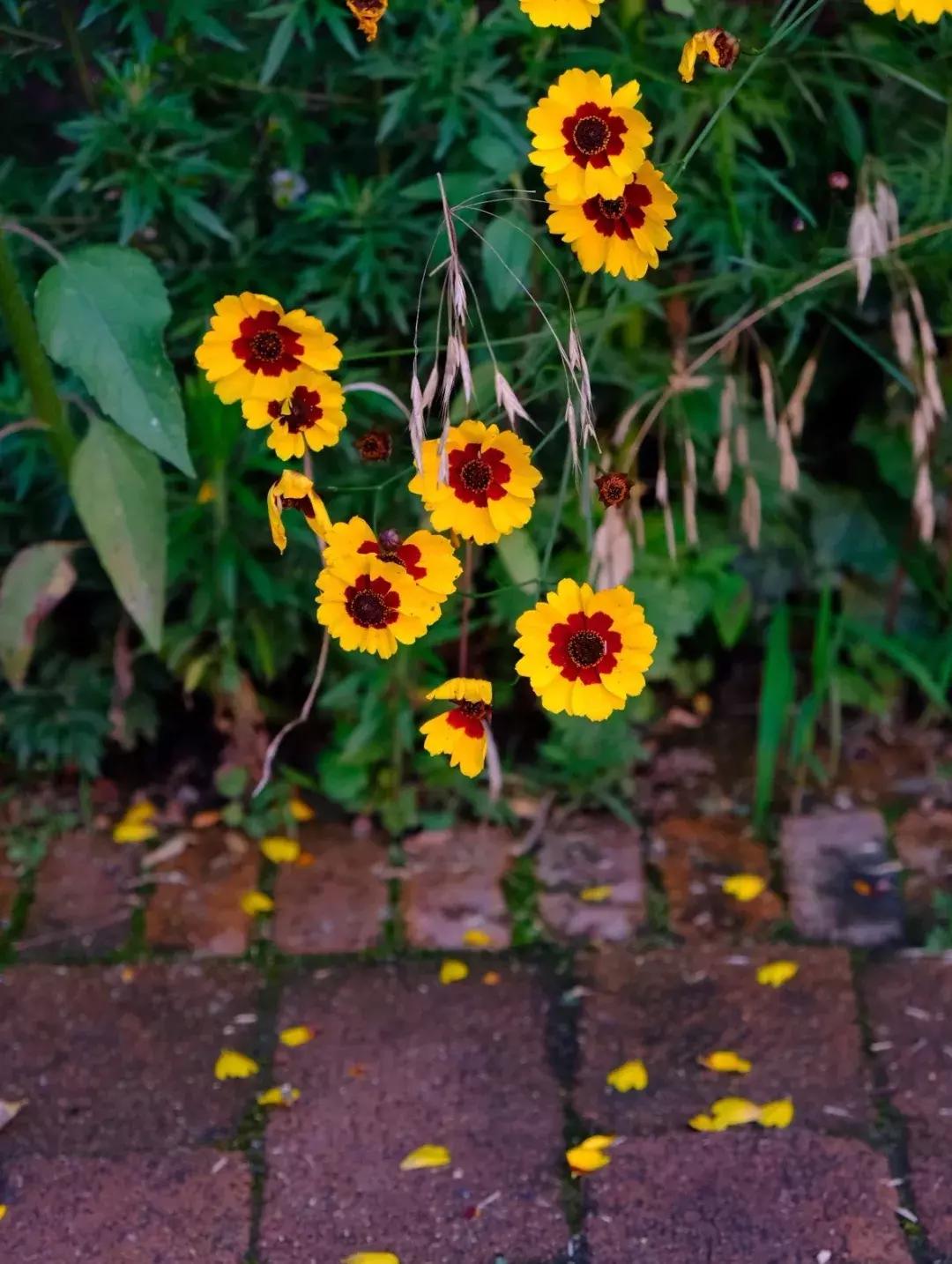 郑州约会好地方11佳！速度收藏，分分钟搞定女朋友！