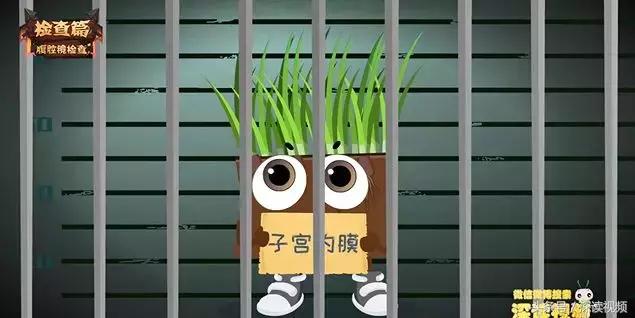 姨妈痛不用药,姨妈痛也不需要吃药