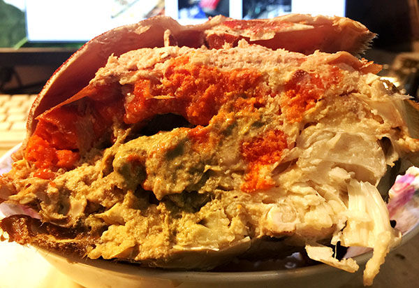 螃蟹当中的贵族“面包蟹”，很多食客看了都流口水，可是很难捕捉