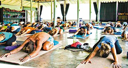 泰国普吉岛性侵事件,帕岸岛事件