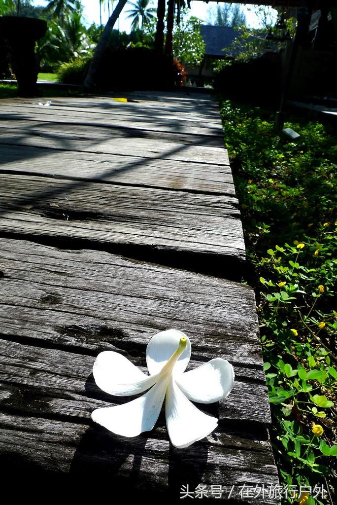 旅游第二天泡酒店攻略,东南亚酒店体验