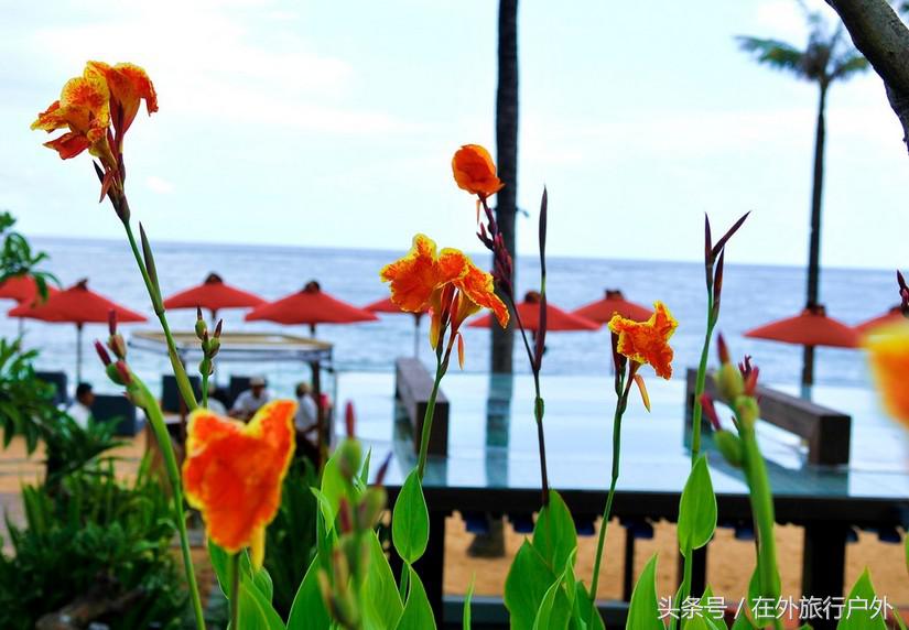 旅游第二天泡酒店攻略,东南亚酒店体验