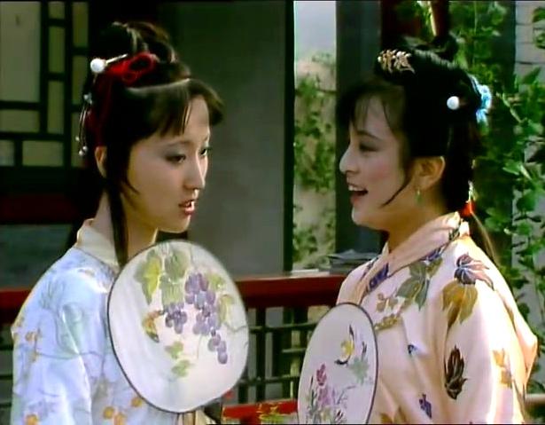 《红楼梦》里贾探春在贾府搞改革遇到的保守派有哪些人？