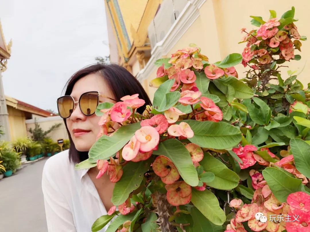 吴哥游玩详细攻略 (想把吴哥逛美了)