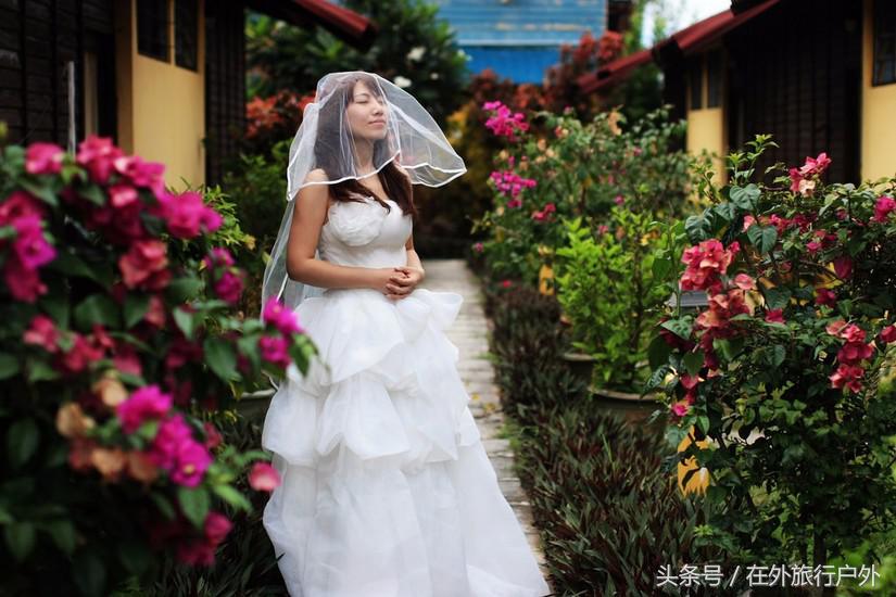 向往的生活去什么海岛,向往的生活要去海岛