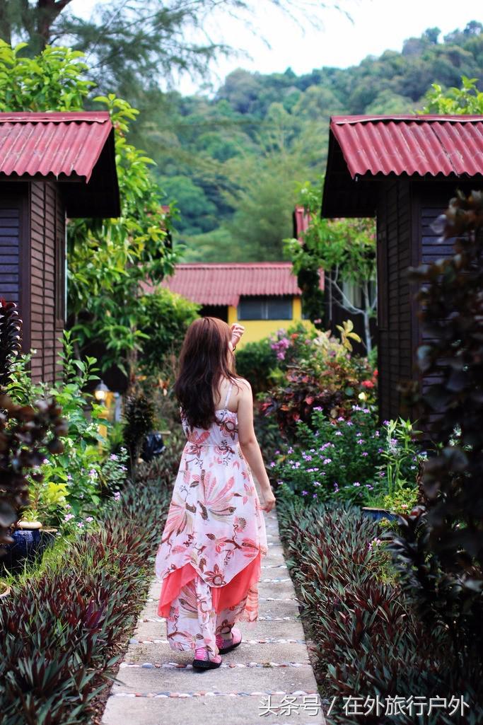 向往的生活去什么海岛,向往的生活要去海岛