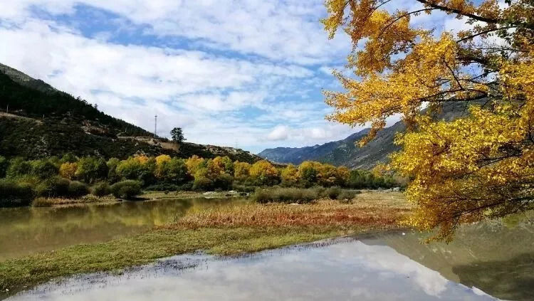 秋天甘南旅游攻略,看甘南草原风光