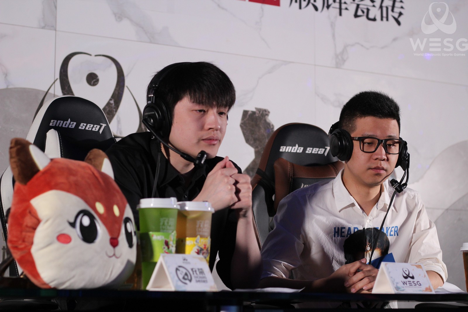 wesg全球总决赛,wesg广东站决赛