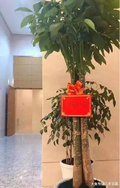 九万块究竟花到哪了?被消费降级式应援笑哭!