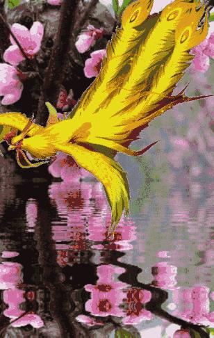 七九届同学四十年聚会通知,年底团年同学聚会简短通知