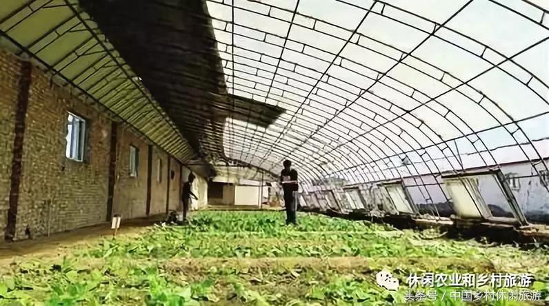 以前的大棚房现在怎么处理,大棚房拆除原因