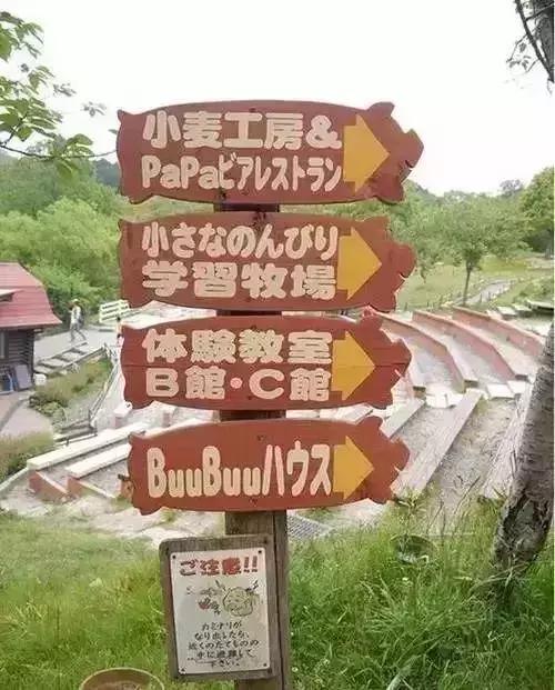 案例：同样都是农产品，为何日本走高端路线成功了？