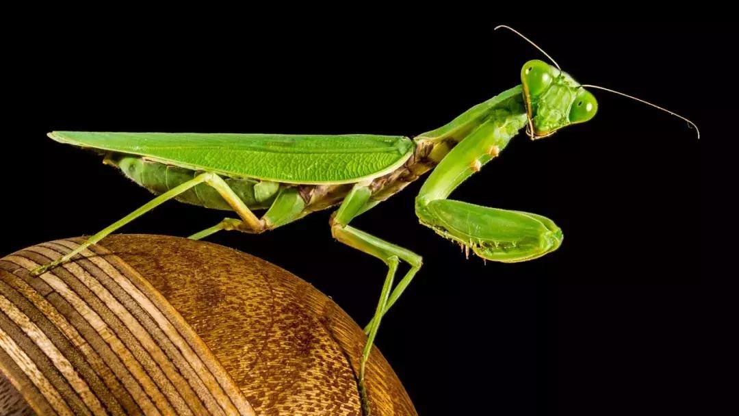 计生委生孩子,计生证是生孩子之前还是以后办理