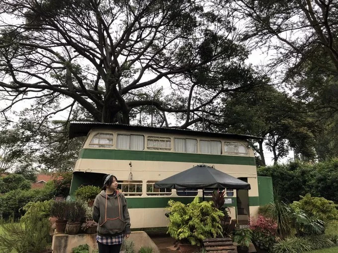 肯尼亚│我没有错过非洲，错过动物大迁徙