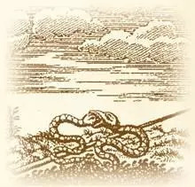 哈利波特小说的冷知识,哈利波特系列中的冷知识