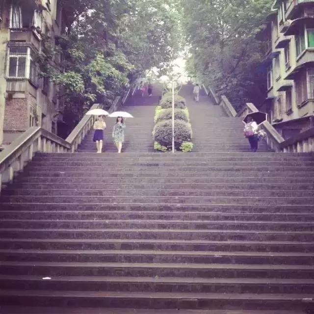 致拼搏奋斗路上莘莘学子,致莘莘学子的图片