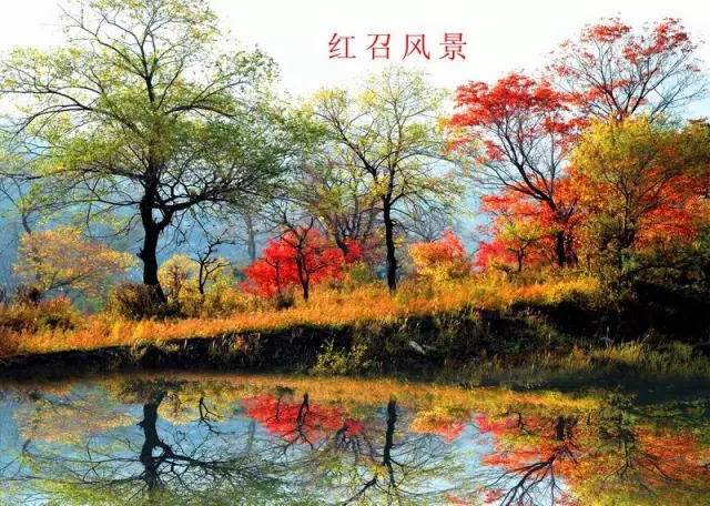 呼和浩特哪个沟秋景好,呼和浩特红石崖秋景