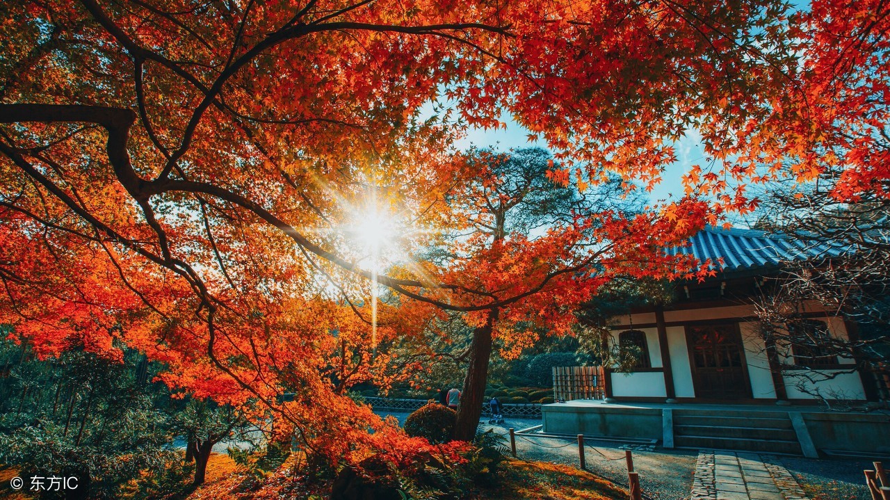 独自漂流在异乡,独自一人漂流