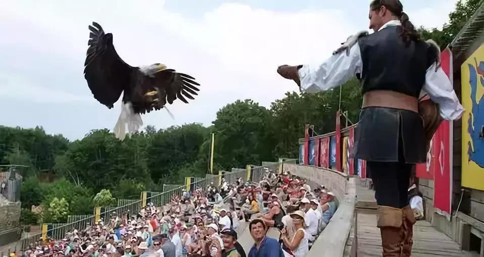 生态城镇规划方案,生态县建设标准