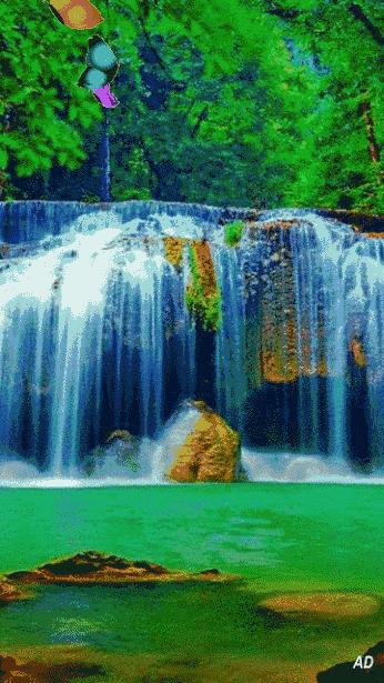 会动的11张图片,会动的花动态图片