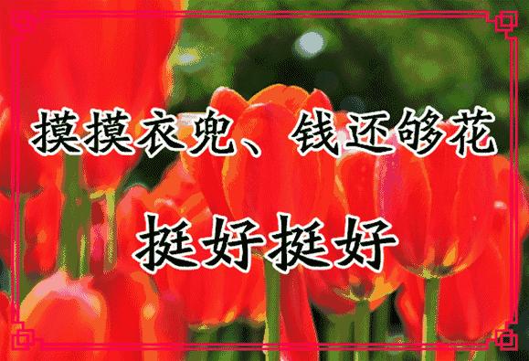 会动的11张图片,会动的花动态图片