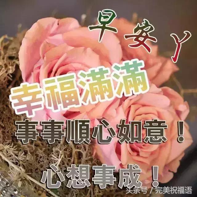 朋友祝你年年十八你怎么回,朋友愿你天天开心吉祥如意