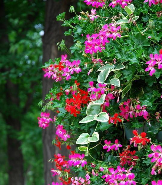 50条高质量qq个性签名短句,女人优雅内涵的个性签名简短