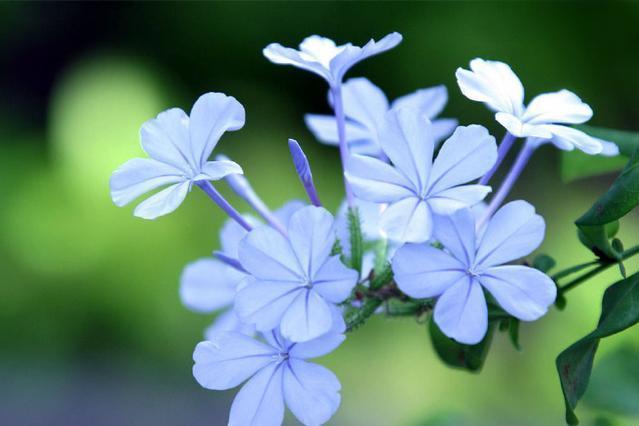 50条高质量qq个性签名短句,女人优雅内涵的个性签名简短