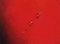 红宝石比重和钻石比重哪个重一点,红宝石怎么辨别真假