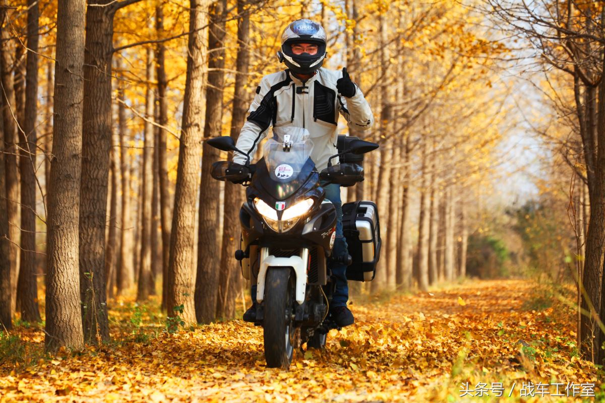 隐藏在绿化带里的罪恶,隐藏在黑暗深处的罪孽