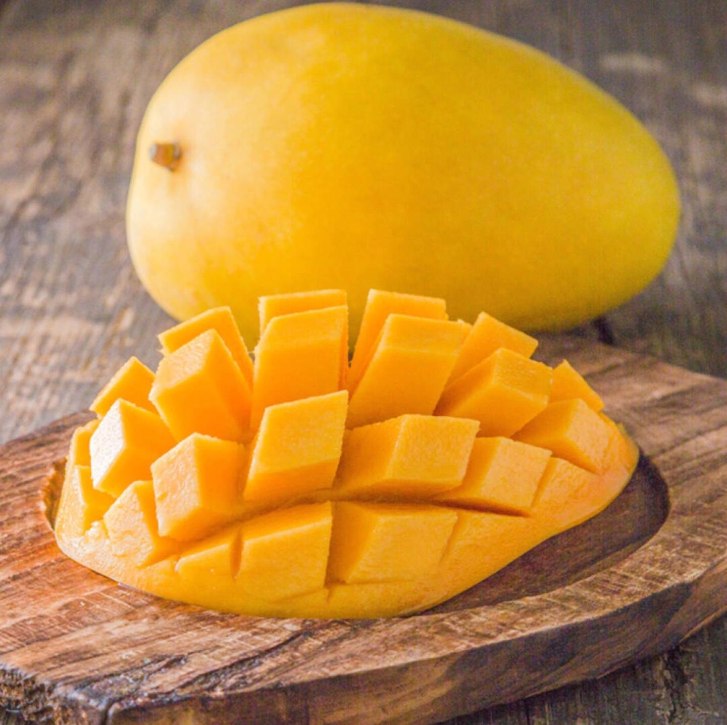 爱情之果是什么,爱情之果椰子