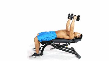 新手哑铃健身一周训练计划,新人健身房健身一周训练计划