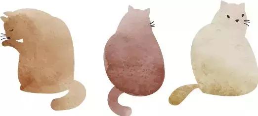 选玩具大全视频,选玩具儿童