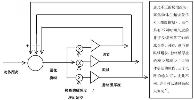 防控近视眼的要点,防控近视眼镜怎么样