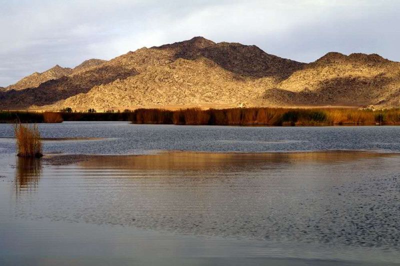 北疆环线10日游最新,北疆环线10日游旅游团