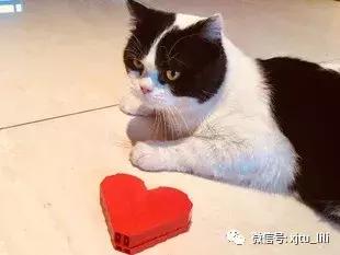 乐高如履平地,乐高深暗之域