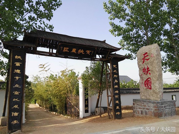 嵩山少林寺旅游攻略自驾,嵩山少林寺旅游攻略及景点图
