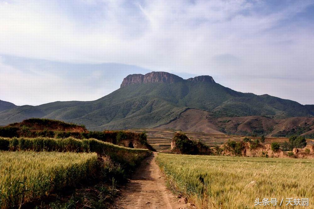 嵩山少林寺旅游攻略自驾,嵩山少林寺旅游攻略及景点图