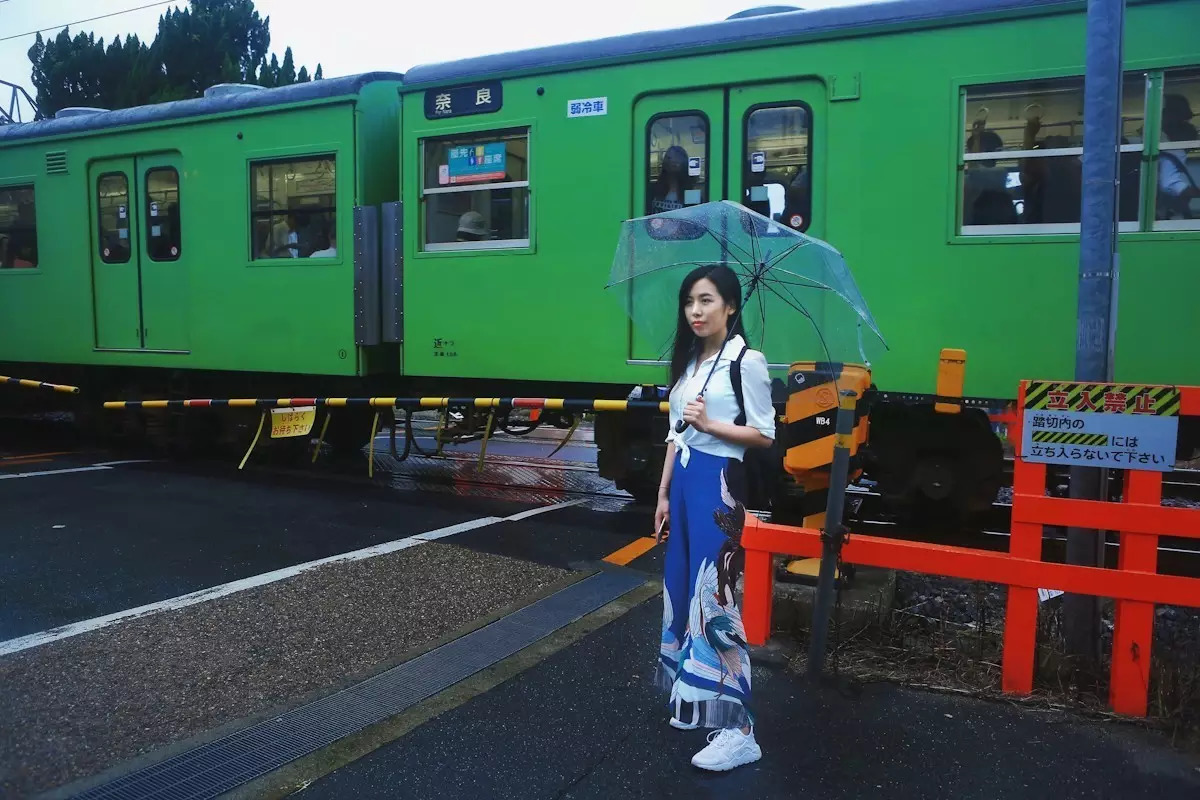 生活在别处~高冷文青携呆萌侄子游日本（攻略篇）