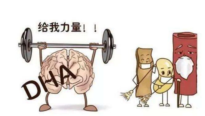能促进宝宝的大脑发育要吃什么,促进宝宝大脑发育的营养元素