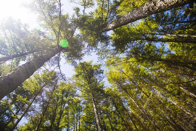 固原六盘山，毛主席说不到长城非好汉，此长城不是彼长城