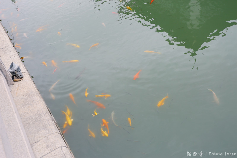 杭州两天一夜旅游西塘攻略,周庄同里乌镇西塘小桥流水